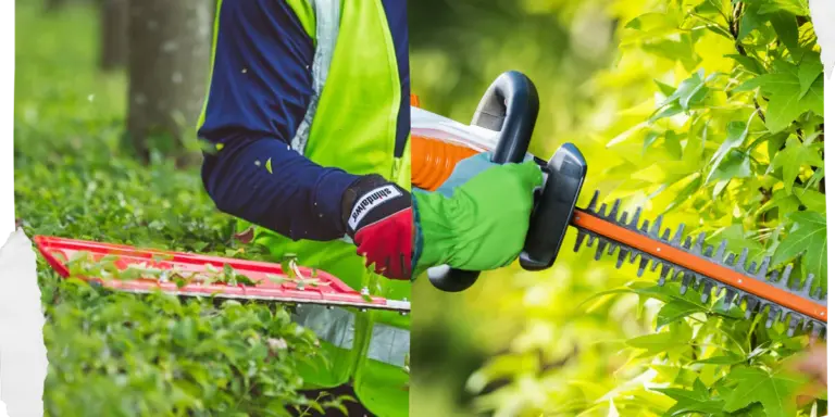 8 Most Reliable Hedge Trimmers on Amazon: My Personal Top Picks