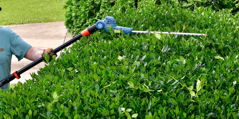 Battery vs. Gas-Powered Trimmers
