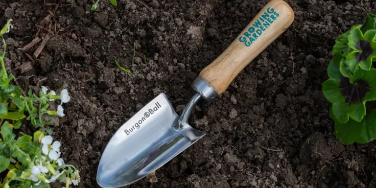 How to Maintain Your Lawn Tools