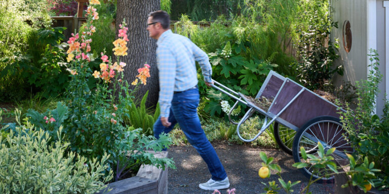 8 Best Garden Tool Sets for Beginners