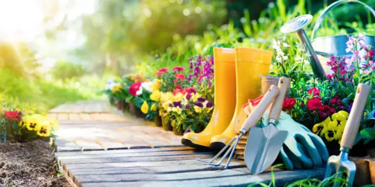 10 Tools You Need for Garden Maintenance