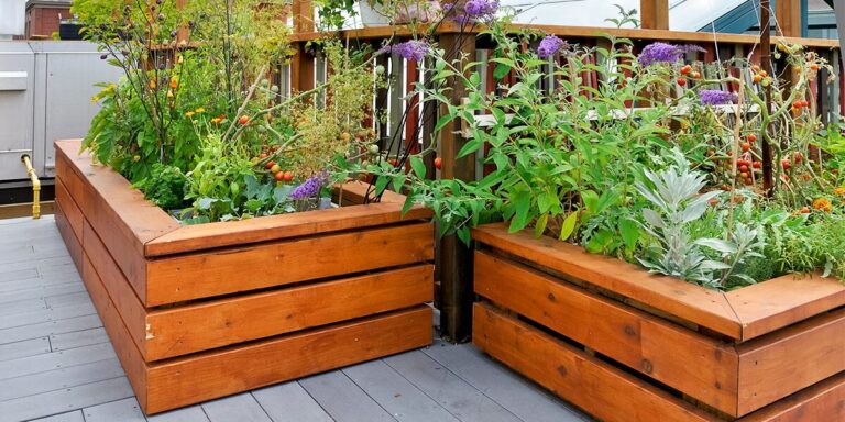 Must-Have Tools for Building a Raised Garden Bed